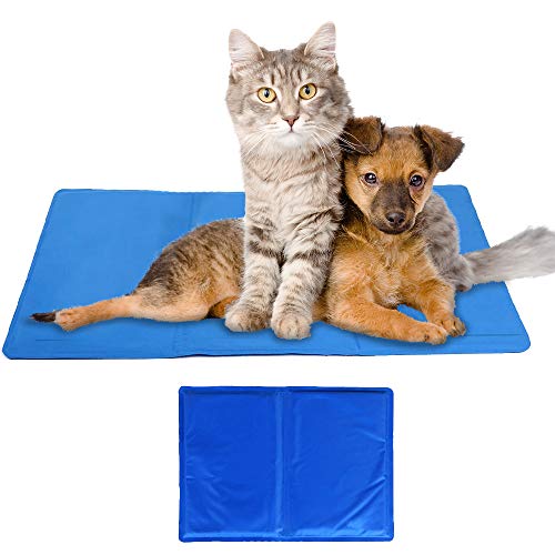 best cat cooling pad