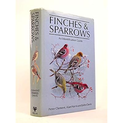 Finches and Sparrows
