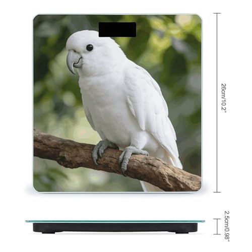 Báscula de Baño Digital White Parrot con LCD y Base Antideslizante miniatura 2