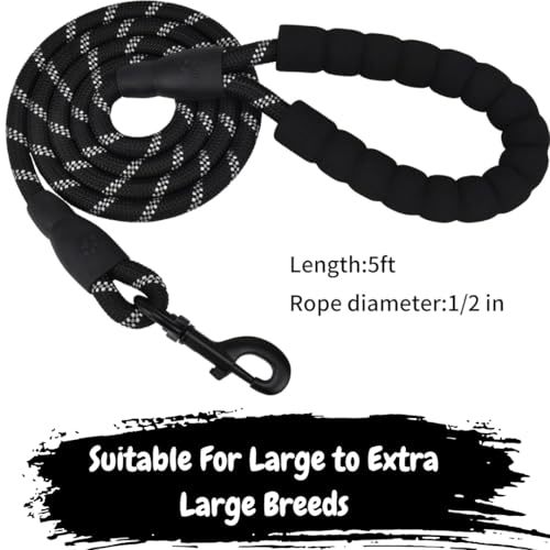Image of PawPro Reflective Nylon Dog Collar - Custom Bone Tag with 5‑Foot Heavy‑Duty Leash - Soft Padded Handle, 360 Swivel Clip - Adjustable Pet Collar for Medium & Large Dogs (Graphite Black, Collar+Leash)