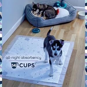 Extra Extra Large Puppy Pads, Pee Pads for Dogs, Dog Training Pads – Odor Controlling Overnight Dog Pee Pads with Wetness-Activated Fragrance – USA Made – 30″ x 36″ – 14ct (XXL)