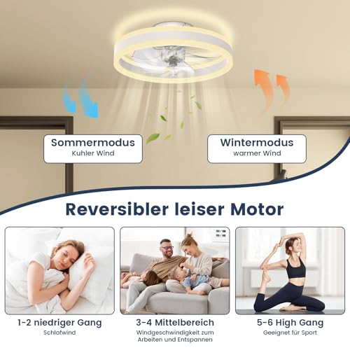 Nalezuns Deckenleuchte mit Ventilator, Deckenventilator mit Beleuchtung,3 Farbtemperatur, 6 Geschwindigkeiten Deckenventilator mit Lampe,Fernbedienung Leise Dimmbar Ventilator Deckenlampe,40cm