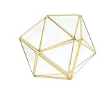Bella's garden Gold Geometric Glass Terrarium Container DIY Desktop Planter for Succulent Air Plants Candle Light Holder Miniature Outdoor Fairy Garden Wedding Gift Home Decor(Gold,Medium)