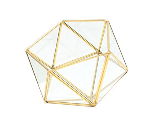 Bella's garden Gold Geometric Glass Terrarium Container DIY Desktop Planter Succulent Air Plants Candle Light Holder Miniature Outdoor Fairy Garden Wedding Gift Home Decor (Gold,Medium)