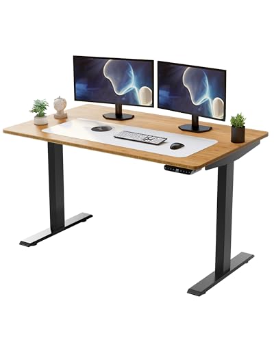 Rise Up Electric Standing Desk Adjustable Height 27-47" Dual Motor