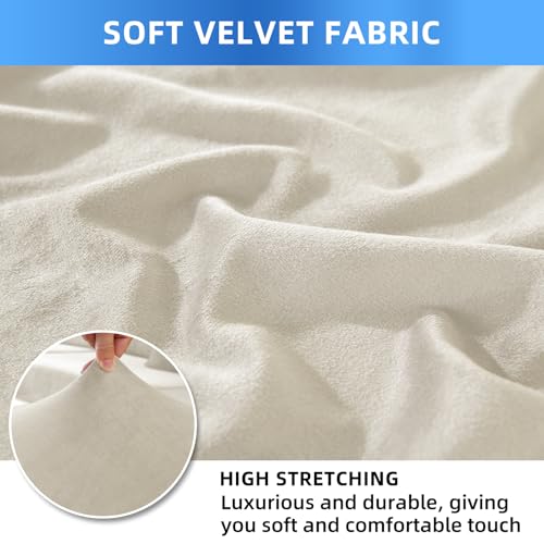 CYCMACO Stuhlhussen Samt 4er Set, Stretch Stuhlüberzieher, Stuhlbezug Schwingstuhl, Hussen Für Stühle Hochlehner, Stuhlbezüge Kratzfest, Universal Chair Cover Waschbarer, Beige