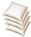Kissenfüllung 45x45 cm Baumwolle mit 100% echter natürlicher Federfüllung, 4er Pack