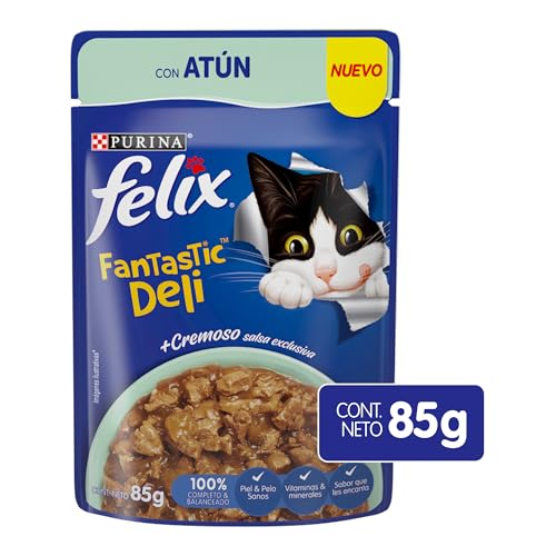 Catálogo para Comprar On-line Felix el gato los 5 mejores. 21 Catálogo para Comprar On-line Felix el gato los 5 mejores. 21