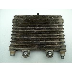 Fits Yamaha Yfm600 Yfm 600 Grizzly #E105 Oil Cooler 4 41 cozpnjhl. sl500 . ss300