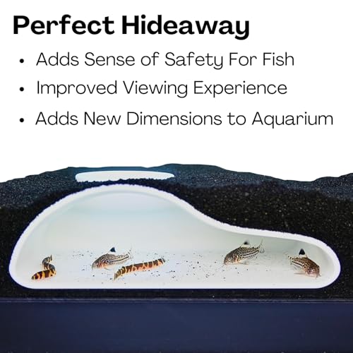 Image of Aquarium Underground Tunnel Cave Natural Curve | Viewing Fish & Shrimp Under Gravel Tunnel | Fish Tank Decor Decoration Hideout Perfect for Corydora Catfish, Kuhli Loach, Clown Loach, Pleco (White)