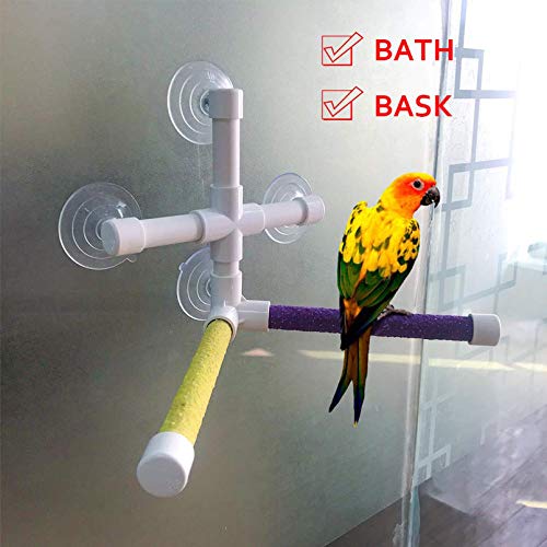 Bird Bath Perch Stand with 4-Suction Cup,Parrot Window Shower Rack Toy for Parakeet Lovebirds Macaw Cockatiel Cockatoo African Grey Conure