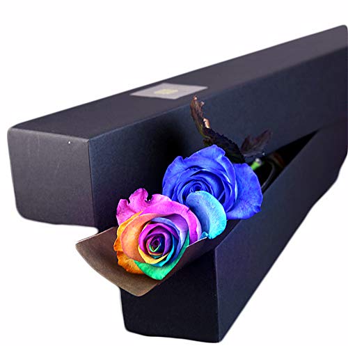 レインボーローズ 生花の人気商品 通販 価格比較 価格 Com