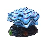 Genérico Cueva para Acuario - Cueva para Camarones Tipo Concha - Decoración Acuática para Agua Dulce Y Salada | para Dormitorio Y Sala De Estar