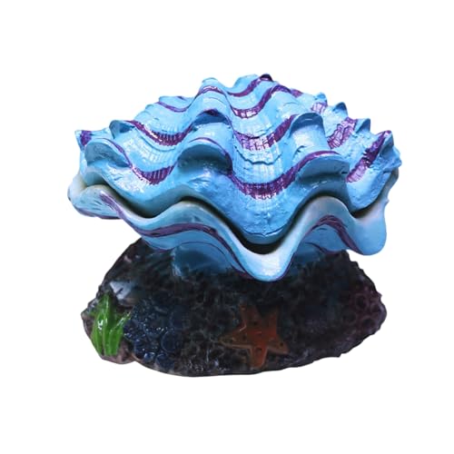 Sghtil Grotte à poissons, cachette en coquillage, décoration pour l'école, la maison, le restaurant, le bassin d'angle la maison, la chambre à coucher, le terrarium