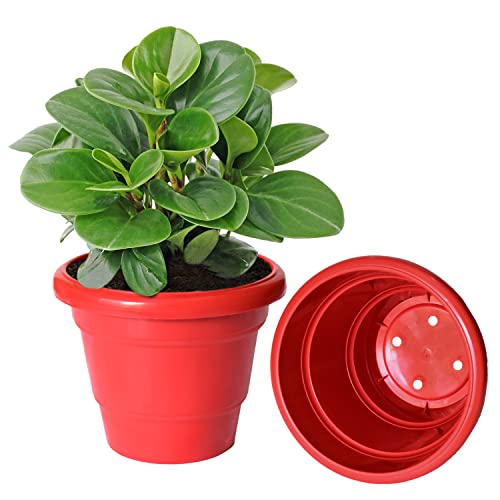 Image of Kuber Industries Solid 2 Layered Plastic Flower Pot|Gamla for Home Decor,Nursery,Balcony,Garden,6 inchx5 inch,Pack of 8 (Red)
