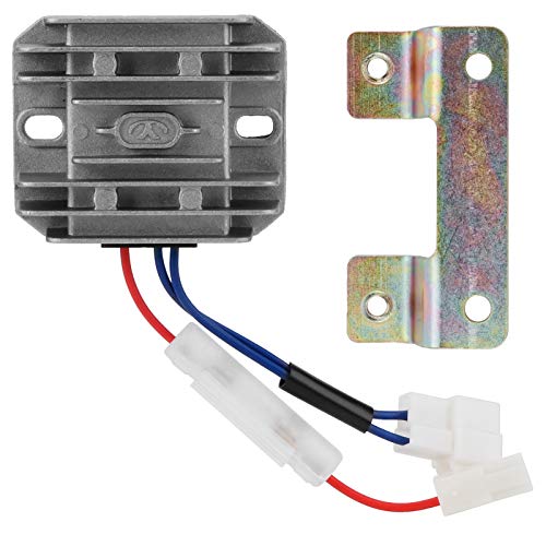 dCndM[^i̓Sޗpd@_ƈ_ꌚ݃K[fjO