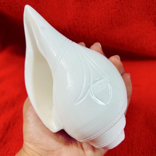 Image of Sankha for Puja - Original Loud Blowing Shankh 6 Inch, 400g Conch Shell for Pooja, Yoga & Meditation - White Glossy Finish, Natural, Artisan Crafted for Spiritual Harmony