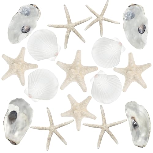 L'imballaggio include:Collezioneconchiglie decorative include 2 tipi di stelle marine,4pcs conchiglie e 4pcs conchiglie di ostriche.È possibile utilizzare la vostra immaginazione per trasformarli in decorazioni oceaniche uniche