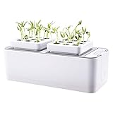 grow kits uk Soilless Anbau: keine Bakterien, keine Insekten