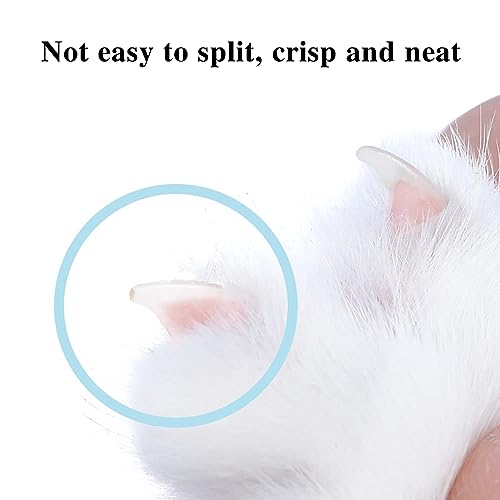 Mioyow - Cortador de garras para gatos profesional, 2 mm, agujero de corte circular, cortaúñas para gatos, herramienta de aseo para perros con luz LED para gatos y perros - imagen 5