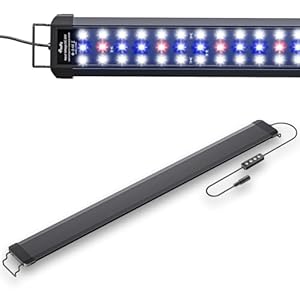 Pawfly 21W Aquarium LED Light for 30 to 36 Inch Extendable Fish Tank Light with Full Spectrum Brilliant White Blue Red Lights with Daytime & Night Modes Timer Auto On/Off Adjustable Brightness