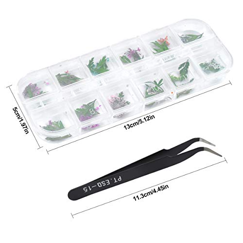 Dokpav 2 Schachteln Getrocknete Blumen für Nailart, 24PCS Getrocknete Blumen Grüne Blätter Set Nagelapplikation 3D Nail… – Bild 3