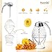 Hunnibi 8oz No Drip Glass Honey Dispenser with Plastic Top - Honeycomb-Style Syrup Server and Bee-Themed Storage Jar with Stand - 6