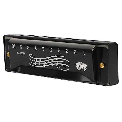 Toyvian qpn[jJ 1020~jy yʃ|[^uSҌyߋ c`w̓p