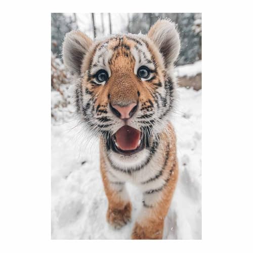 Art mural moderne tigre mignon des neiges avec impression haute définition sur toile 70x100cm