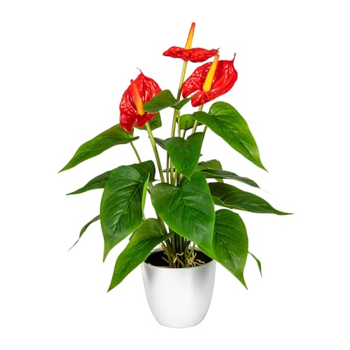 Fuchs seit 1895 Künstliche Anthurie im weißen Kunststofftopf 40 cm in versch. Farben, Farbe:rot