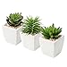 3er Set Kunstpflanze Künstliche Sukkulente im Keramiktopf, Sukkulenten künstlichen Mini Topfpflanzen künstliche Pflanzen für Badezimmer Regal Küche Terrasse, Höhe11.5cm