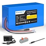 24V 10Ah Lithium Battery, 24V Rechargeable Li-ion Battery with 25.2V 2A Charger, Bare Leads Wire, Cable Connector for Kids Ride On Cars, DIY Project, RC Car, Solar Panels, LED Light Strip, CCTV Camera