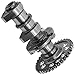 Caltric Exhaust Camshaft Compatible with Suzuki LTZ400 LT-Z400 Quadsport Z400 2003 2004 12720-07G00
