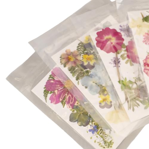 Kit Flores Presionadas 5 Bolsas Variadas para Manualidades miniatura 6