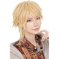 シンデレラウィッグ　クラッセ シンデレラ(ディズニー キャラクター) | コスプレ商品一覧