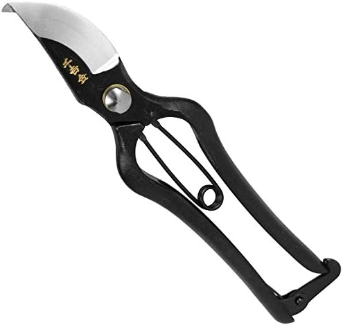 Senkichi Pruning Scissors 200mm (Japan Import)
