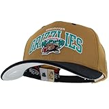 Mitchell & Ness Team Arch Gorra de Béisbol con Cierre a Classic Red Presión - Vancouver Grizzlies (Marrón Claro/Negro)