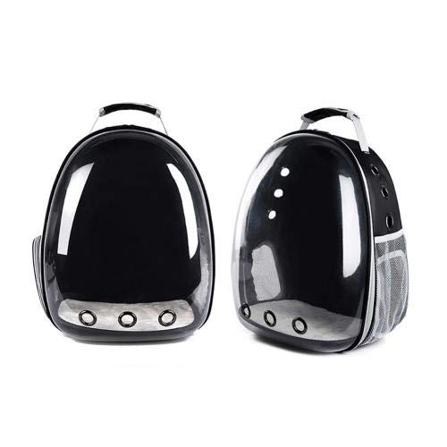 |[^uJvZybgLLeBqobNpbNOsobOLLAybgpi 31 Z`[g × 42 Z`[g