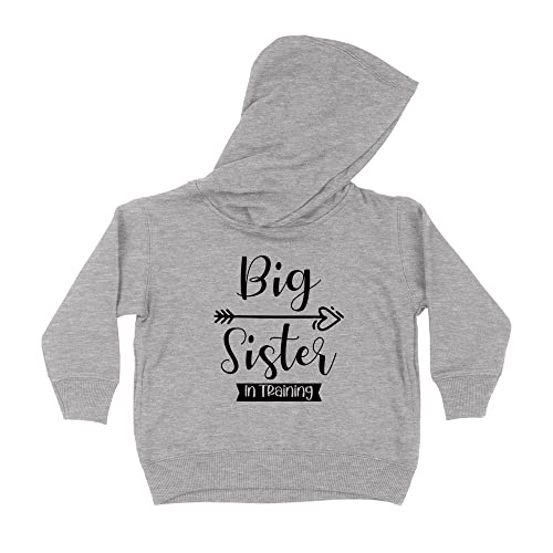 Big Sister In Training Kids Hoodie Sweatshirt Toddler 5T Heather Grey