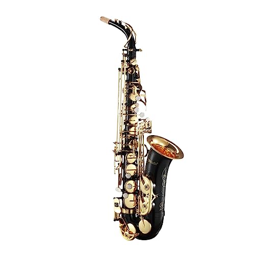 Melodic Alto Saxophone Alto Sax Brass Eb Be E-flat with Mouthpiece Case Straps Cleaning Brush Cloth Gloves for Beginner Student