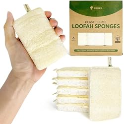 AIRNEX Natural Loofah Sponges for Dishes - Pack of 6 Plastic Free Loofah Kitchen Sponges with Cellulose Core & Cotton Loop - Non Toxic Natural Sponges for Dishes & Kitchen Cleaning