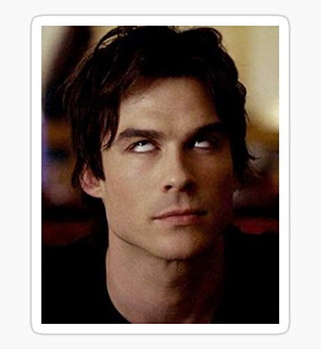 Young Ian Somerhalder - Sticker Graphic - Auto, Wall, Laptop, Cell, Truck Sticker for Windows, Cars, Trucks