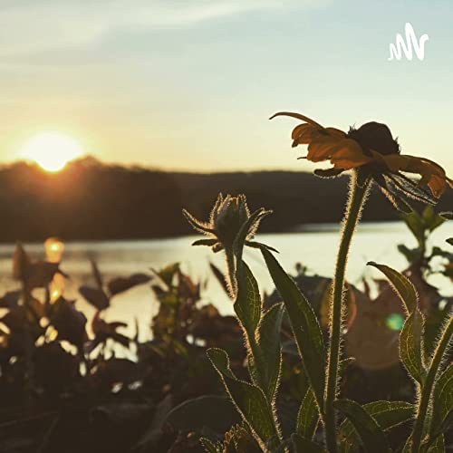 凭什么要我承担 Podcast Por 宋士杰 arte de portada