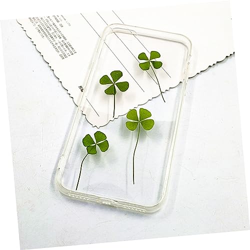 Dried Four Leaf Clover para manualidades 24 piezas miniatura 5
