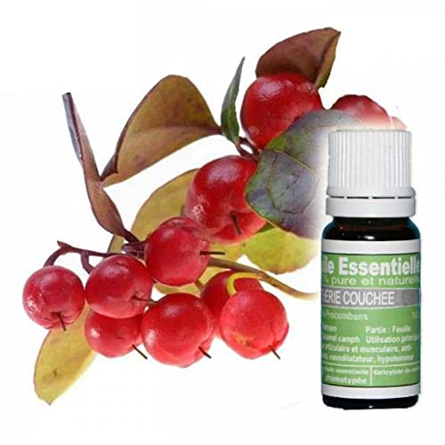 "La vie en zen" Huile essentielle de GAULTHERIE COUCHEE 10 ml pure et naturelle | 100% HECT Haute qualité Cover