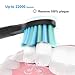 Bahfir Sonic Electric Toothbrush Ultra Cleaning Rechargeable 1 Time Charging 30 Days Use 5 Modes Power Toothbrush Waterproof 3 Brush Heads with Smart Timer for Adults and Kids, Black