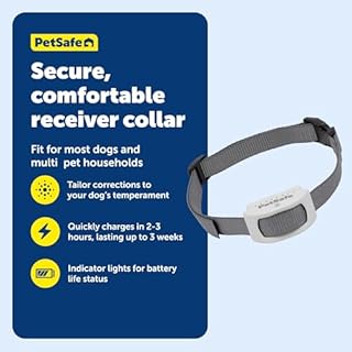 PetSafe Classic In-Ground Fence Rechargeable Receiver Collar for Dogs and Cats - from The Parent Company of Invisible Fence Brand - 7 Levels of Adjustable Static Correction - for Pets 5 lb and Up