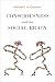Consciousness and the Social Brain