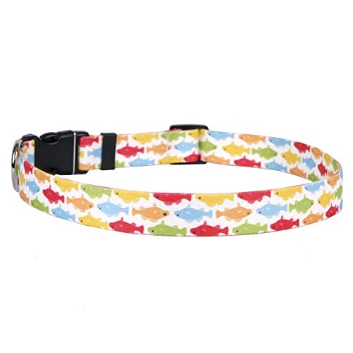 Image of Yellow Dog Design Rainbow Fish White Dog Collar, Medium-1 inch Wide fits Neck Sizes 14 to 20 inch Wide
