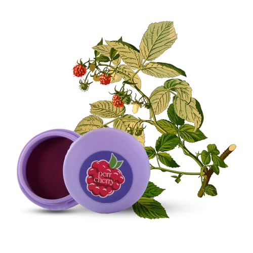 Image of Natural Lip and Cheek Tint Blush For Girls | Enriched with Vitamin E (Raspberry Chocolate)